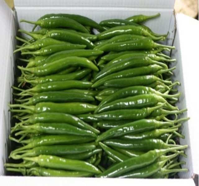 햅쌀과 한국야채 특가공구