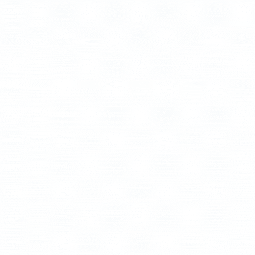 Mr. Shine 이사 및 입주 청소 (카펫, 가구류 알러지 캐어) 및 방역 서비스