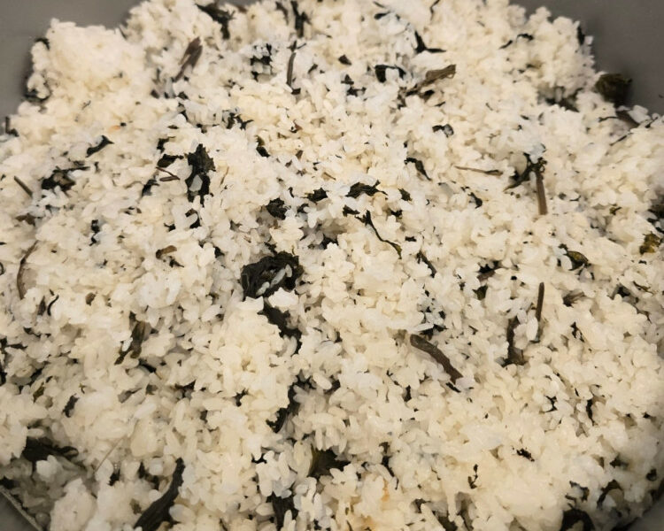 알바니명가❤️새로운메뉴 안내