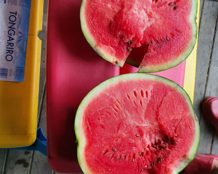 ●과일방● 달고 맛있는 수박 있습니다