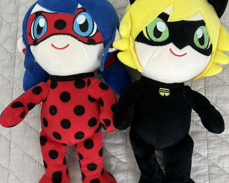 레이디 버그+ 블랙캣