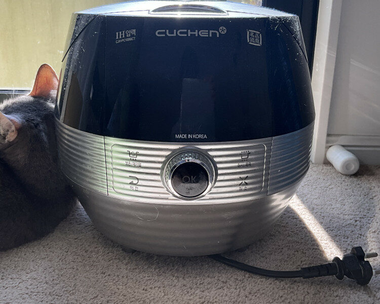타우랑가)중고 쿠첸 10인용 밥솥