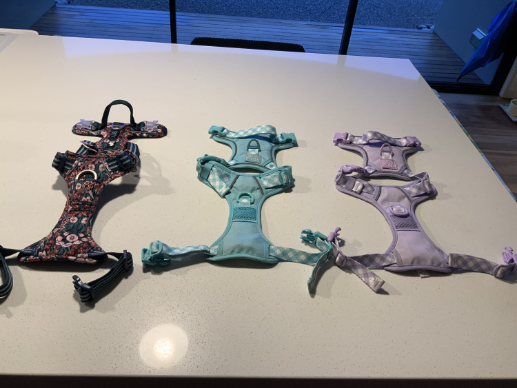 강아지 하네스 팝니다