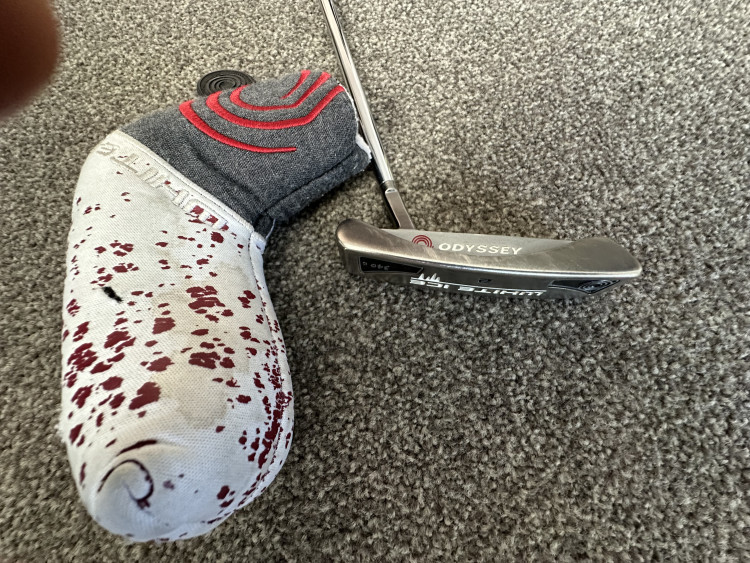 남쪽 파파쿠라타카니니 단독원룸플랫구해요