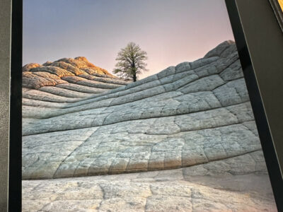 애플 아이패드 11 프로 512기가 셀룰러 모델 판매 합니다~