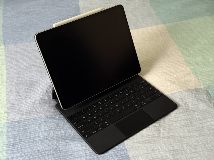 아이패드 프로 4세대 12.9 256gb wifi